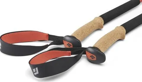 Black Diamond Trail Ergo Cork Trekking Poles