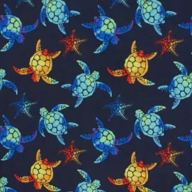 Small Sea Stars and Turtles
